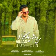 دانلود آهنگ جدید آیدین حسینی من دلم دریا میخواد